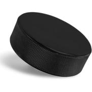 Hockey Puck