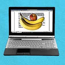 Feeding the Imagination