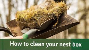 Clean the NEst
